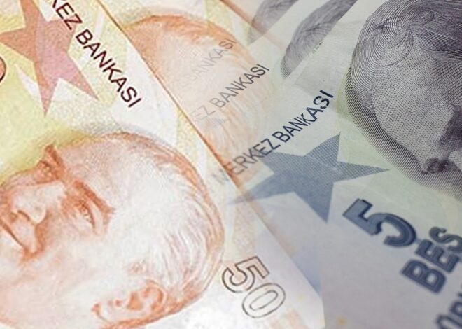 Yeni 5 ve 50 TL’lik banknotlar bugün tedavüle çıkıyor